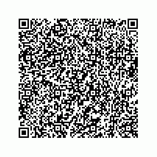 vCard 73519299265