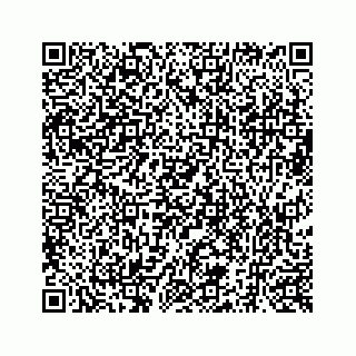 vCard 73519299271