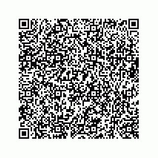 vCard 73519299278