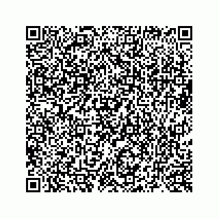 vCard 73519299285