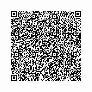 vCard 73519299295