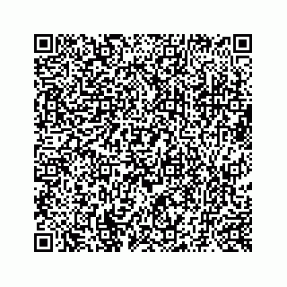 vCard 73519299303