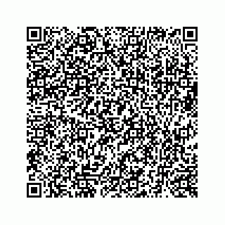 vCard 73519299311