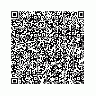 vCard 73519299330