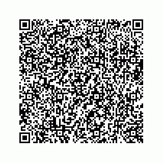 vCard 73519299333