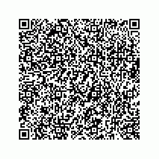 vCard 73519299334