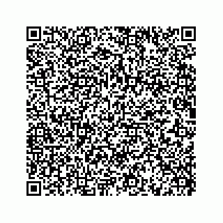 vCard 73519299339