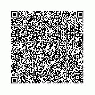 vCard 73519299343