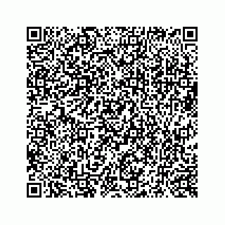 vCard 73519299347