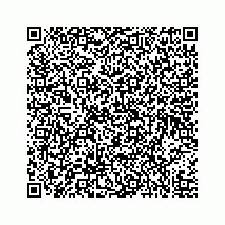 vCard 73519299351