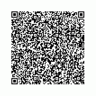 vCard 73519299371