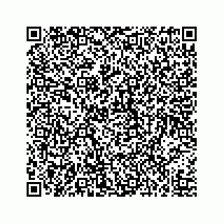 vCard 73519299377