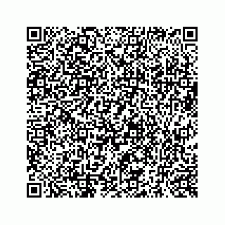 vCard 73519299379