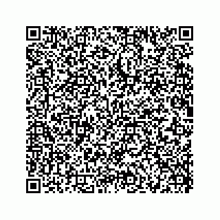 vCard 73519299380