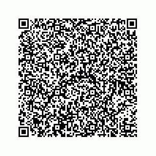 vCard 73519299382