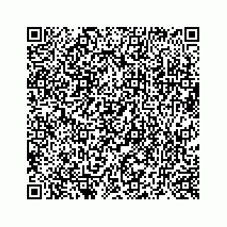 vCard 73519299383