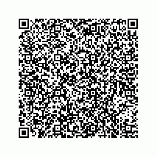vCard 73519299387