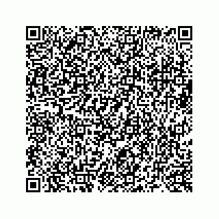 vCard 73519299389