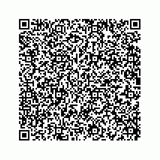 vCard 73519299391