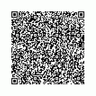 vCard 73519299392