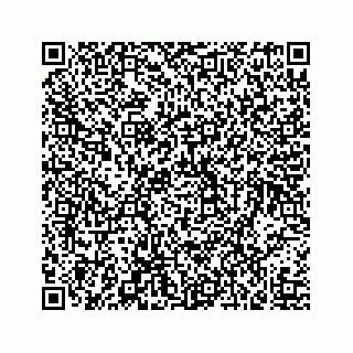 vCard 73519299393