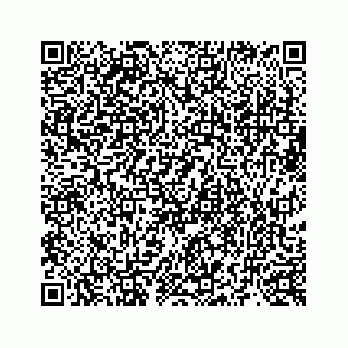 vCard 73519299394