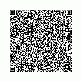 vCard 73519299396