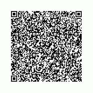 vCard 73519299412