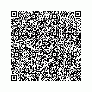 vCard 73519299413