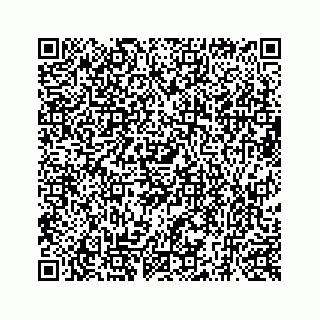 vCard 73519299428