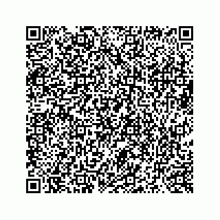 vCard 73519299459