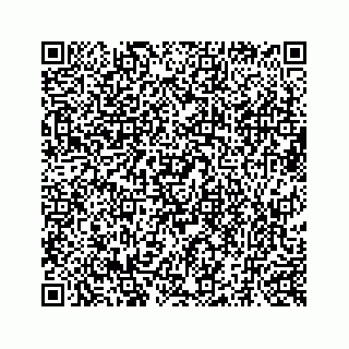vCard 73519299479