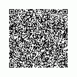 vCard 73519299480