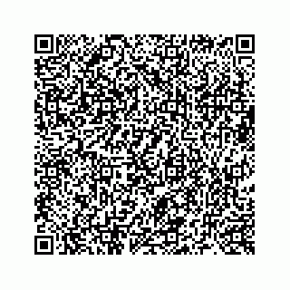 vCard 73519299483