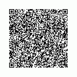 vCard 73519299486