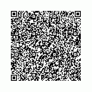 vCard 73519398501