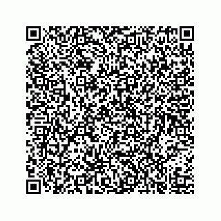 vCard 73519398503
