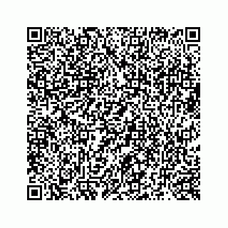 vCard 73519398510
