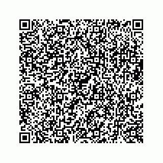 vCard 73519398513