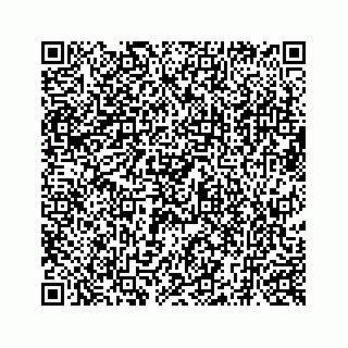 vCard 73519398527
