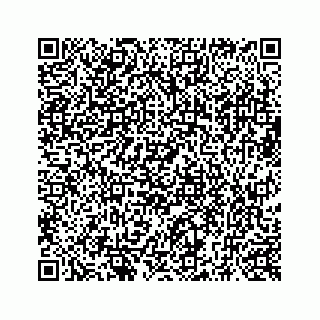 vCard 73519398528