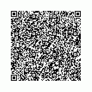 vCard 73519398529