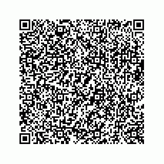 vCard 73519398547