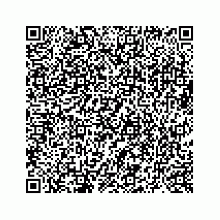 vCard 73519398580