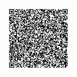 vCard 73519398589
