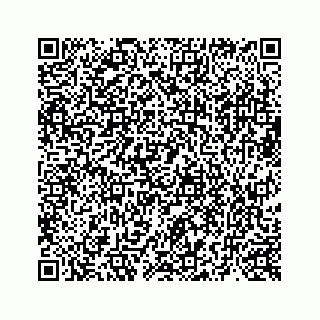 vCard 73519398599