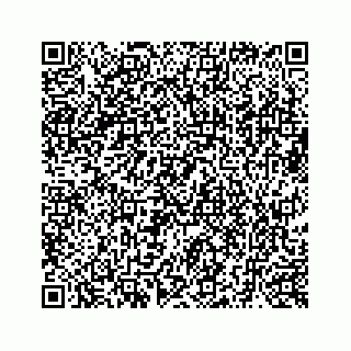 vCard 73519398611