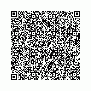 vCard 73519398629