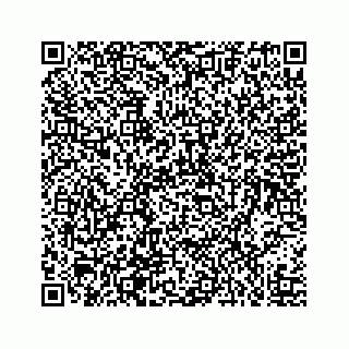 vCard 73519398635
