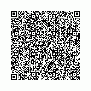 vCard 73519398653